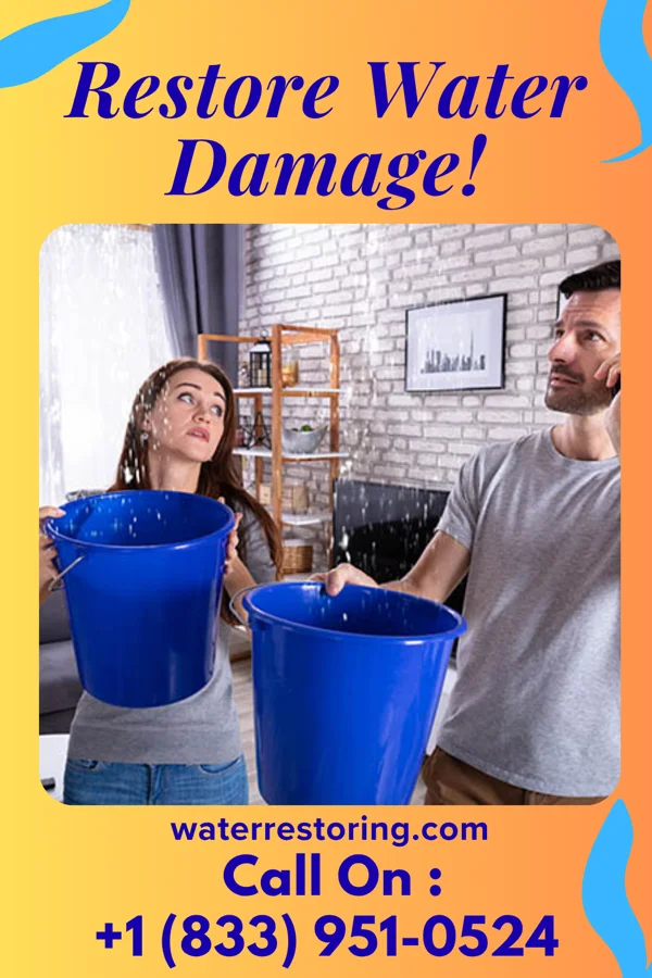 water restoration Best Damage Recovery Professionals Detmold