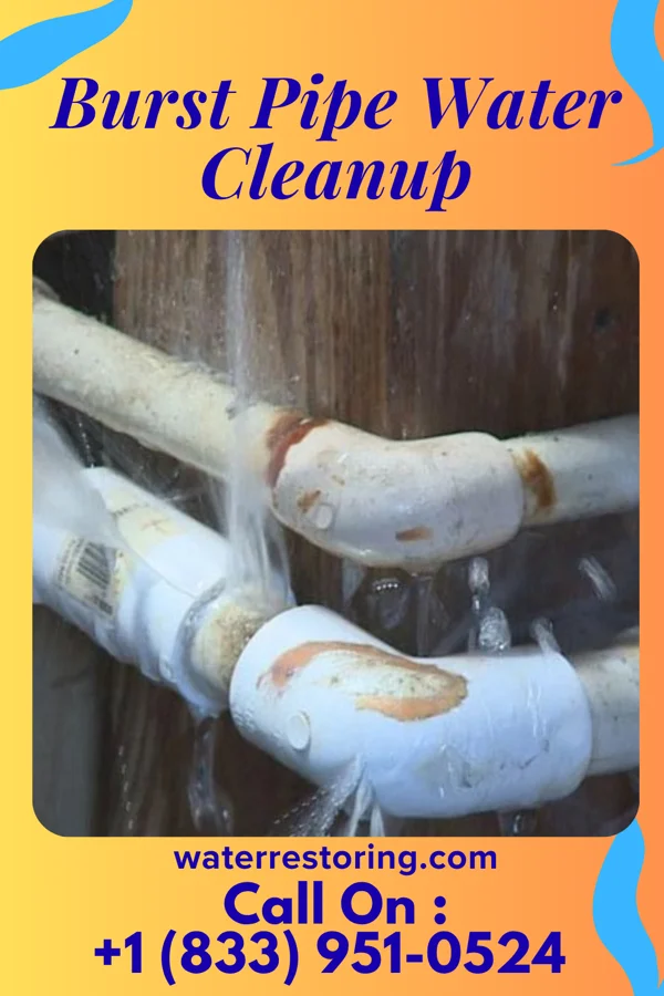 Burst Pipe Water Cleanup in Detmold, MD