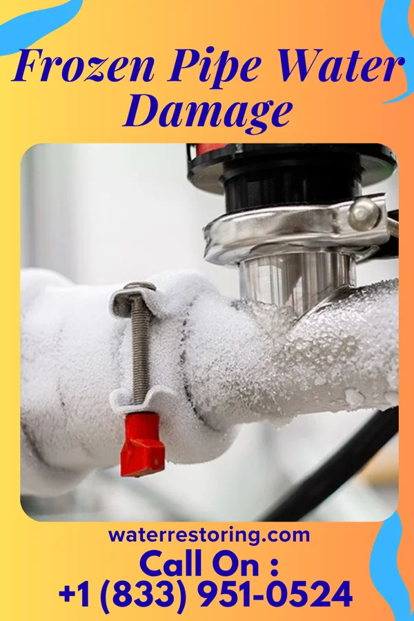 Frozen Pipe Water Damage in Detmold, MD
