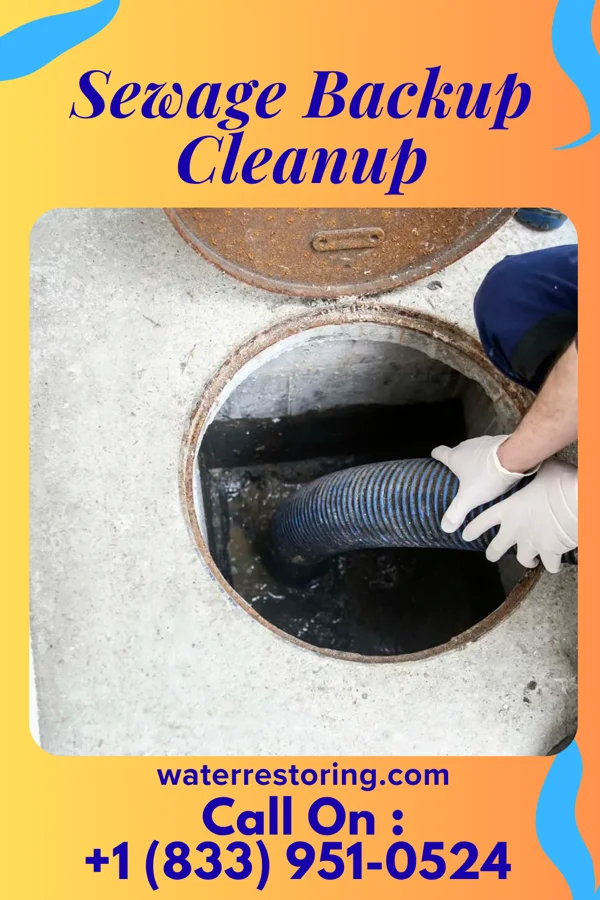 Sewage Backup Cleanup in Detmold, MD