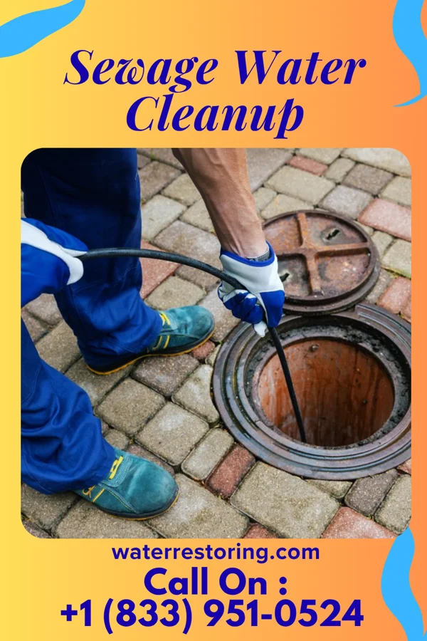 Sewage Water Cleanup in Detmold, MD